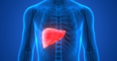 Overview of Hepatitis